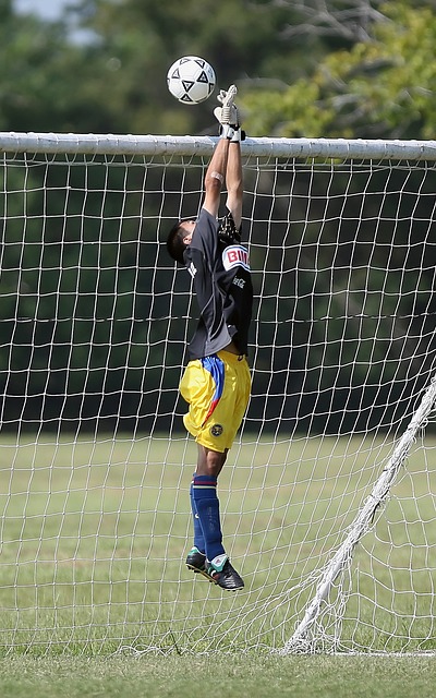 言中佔據主 言中佔據主