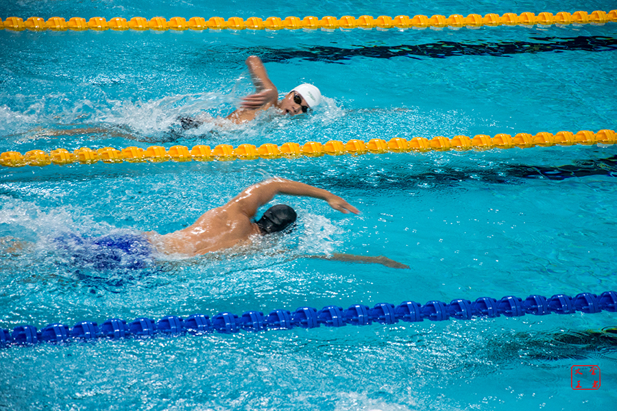 不仅依赖于 不仅依赖于