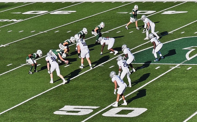 他們的核心 他們的核心