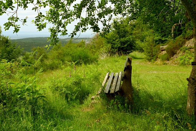 伸出援手 伸出援手